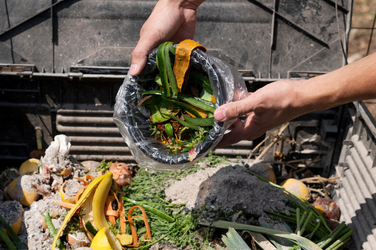 From Trash to Treasure: The Magic of Kitchen Scrap Gardening