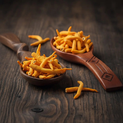 Cordyceps: Energy & Endurance