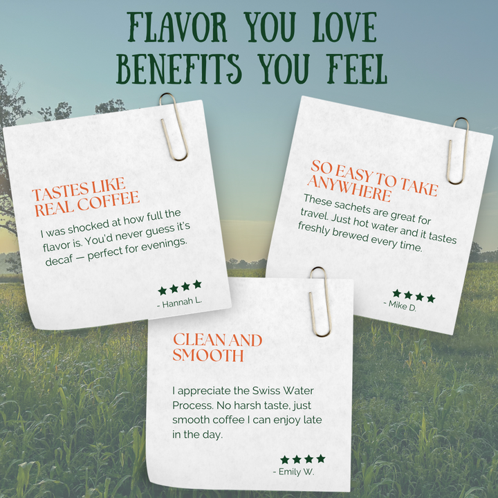Six EarthFirst Organic Swiss Water Processed Decaf Coffee sachets arranged in a bundle with branding and packaging visible.