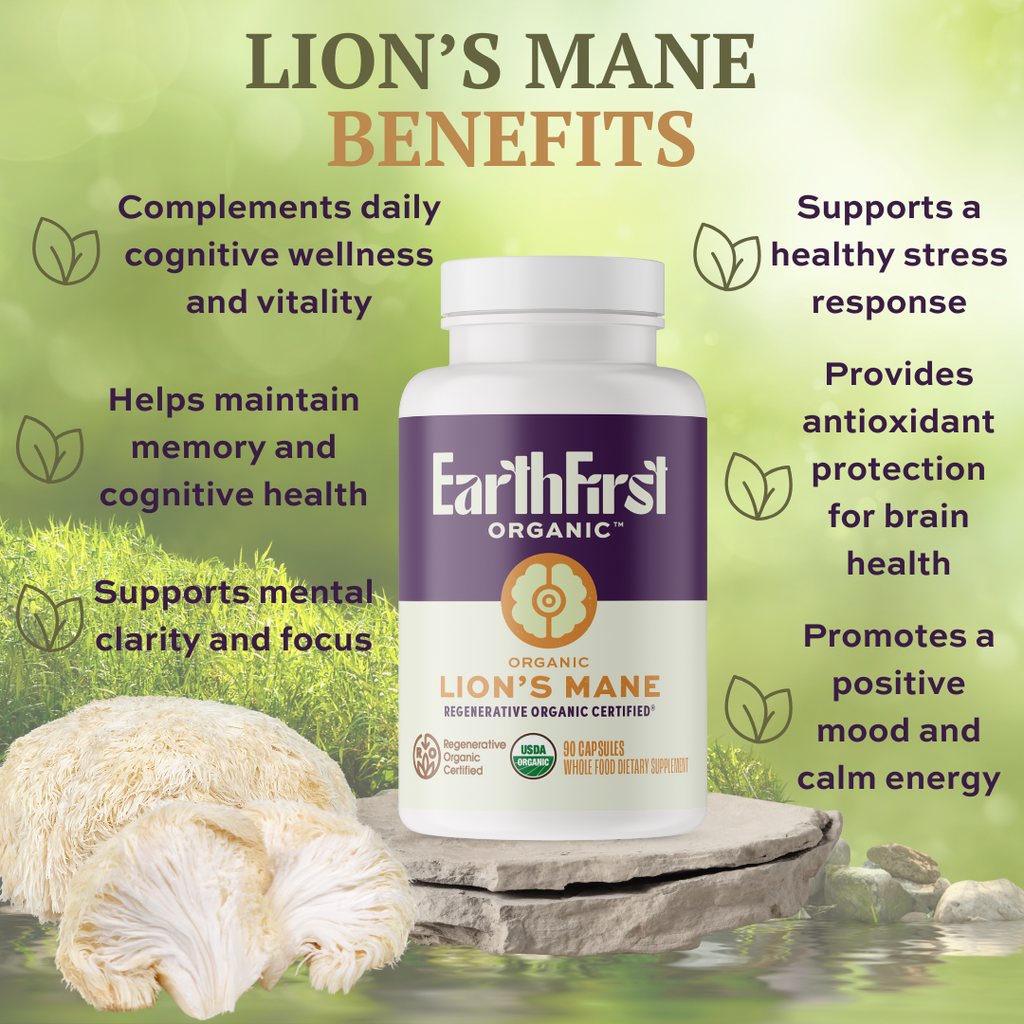 Organic Lion's Mane - EarthFirst Organic