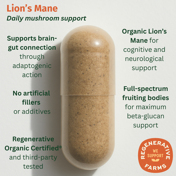 Organic Lion's Mane - EarthFirst Organic