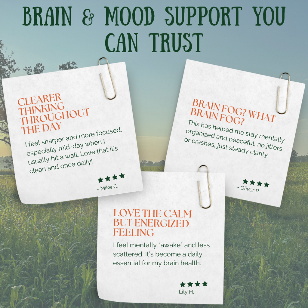 Organic Lion's Mane - EarthFirst Organic