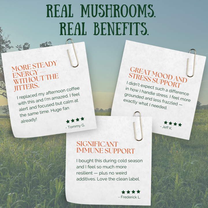 Organic Multi Shroom 7 - EarthFirst Organic