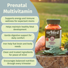 Earth-First-Organics Prenatal Multi Once Daily supplement with essential vitamins and minerals for pregnancy health.