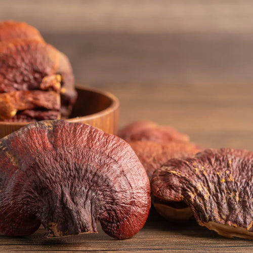 Reishi: Calm & Stress Balance