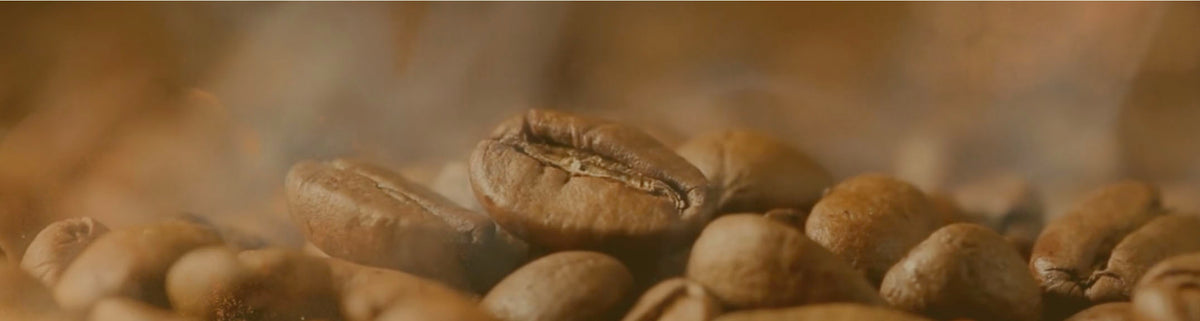 Coffee That Puts the Earth First