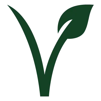 Vegan